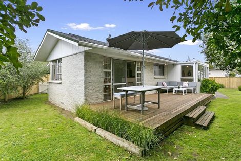 Photo of property in 4 Alfred Back Place, Cambridge, 3434