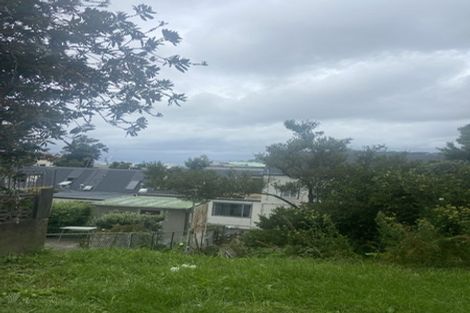 Photo of property in 2 Anderson Terrace, Mount Cook, Wellington, 6021