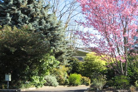 Photo of property in 12 Rakau Street, Havelock North, 4130