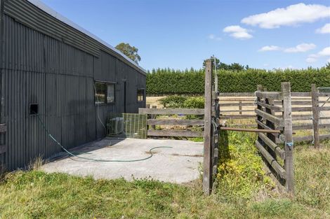Photo of property in 37 Marshmans Road, Ashley, Rangiora, 7477