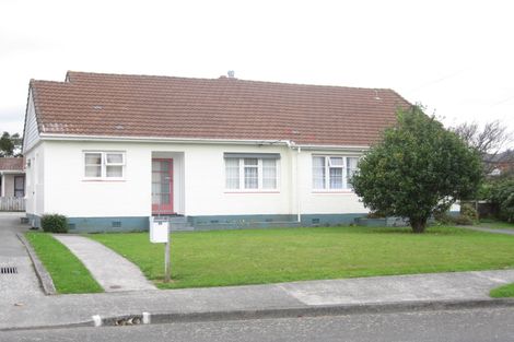 Photo of property in 49 Trinity Avenue, Epuni, Lower Hutt, 5011