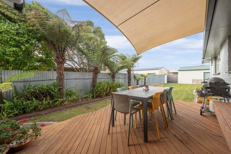 Photo of property in 11 Brydon Street, Renwick, 7204