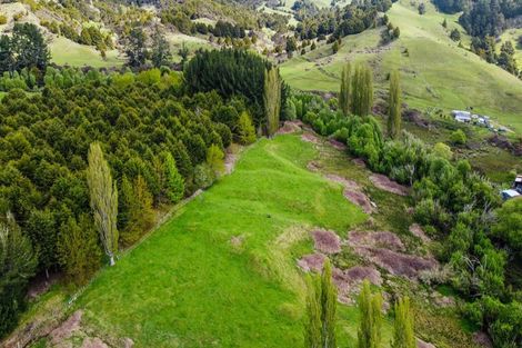 Photo of property in 946 Taringamotu Road, Taringamotu, Taumarunui, 3994