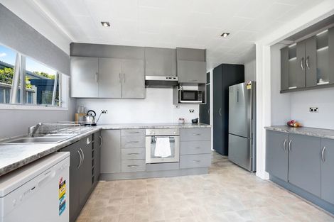 Photo of property in 29 Wymer Terrace, Chartwell, Hamilton, 3210