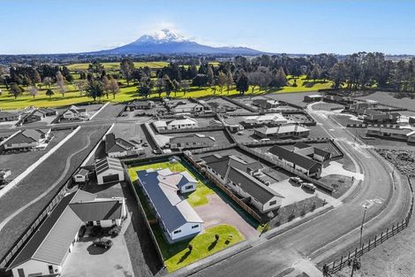 Photo of property in 22 Mercade Close, Stratford, 4332