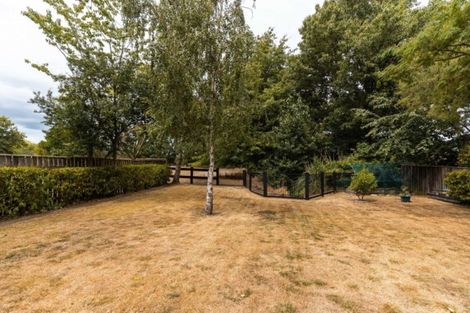 Photo of property in 34a Gordon Street, Lansdowne, Masterton, 5810