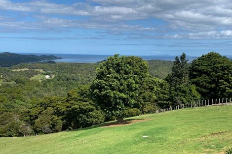 Photo of property in 133 Pukenui Road, Ngunguru, Whangarei, 0173