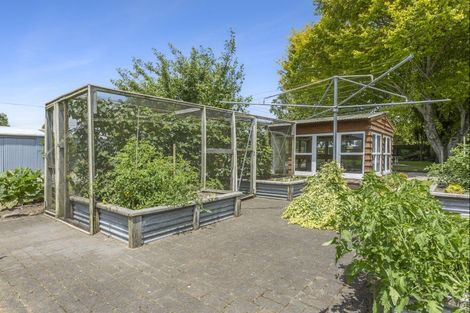 Photo of property in 574 Victoria Road, Pukemoremore, Cambridge, 3493