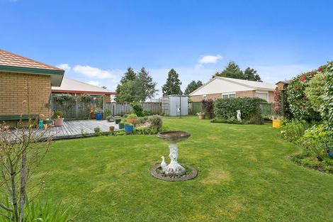 Photo of property in 100 Tawari Street, Matamata, 3400