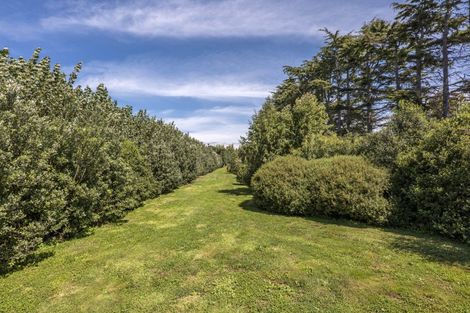 Photo of property in 1257 Boundary Road, Lincoln, Christchurch, 7674