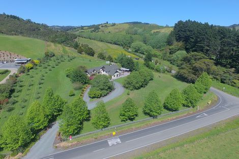 Photo of property in 339 Ahuroa Road, Puhoi, Warkworth, 0994