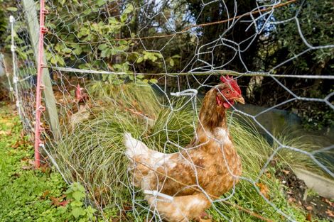 Photo of property in 2a Braeside, East Taieri, Mosgiel, 9024