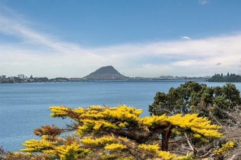 Photo of property in 266 Maungatapu Road, Maungatapu, Tauranga, 3112