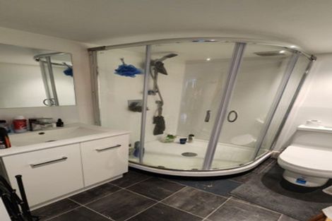 Photo of property in 164a Hanson Street, Newtown, Wellington, 6021