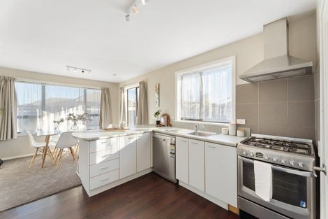 Photo of property in 45 Olivine Street, Shirley, Christchurch, 8013