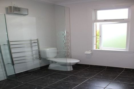 Photo of property in 113 Signal Hill Road, Opoho, Dunedin, 9010