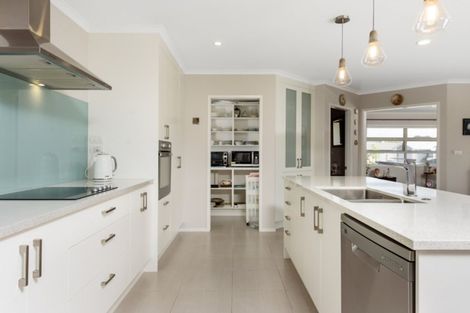 Photo of property in 113 Penetaka Heights, Pyes Pa, Tauranga, 3112