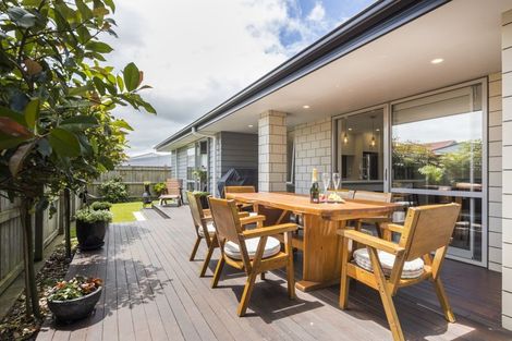 Photo of property in 31a Manson Street, Terrace End, Palmerston North, 4410