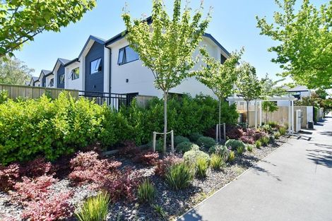 Photo of property in 1/277 Armagh Street, Christchurch Central, Christchurch, 8011
