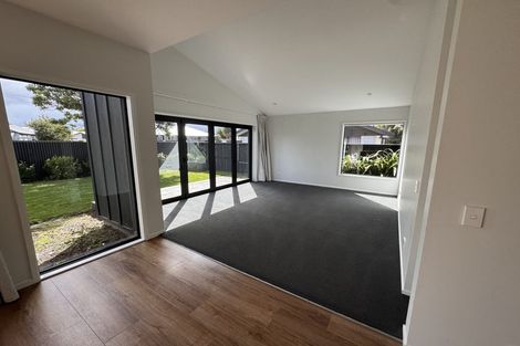 Photo of property in 46b Patten Street, Avonside, Christchurch, 8061