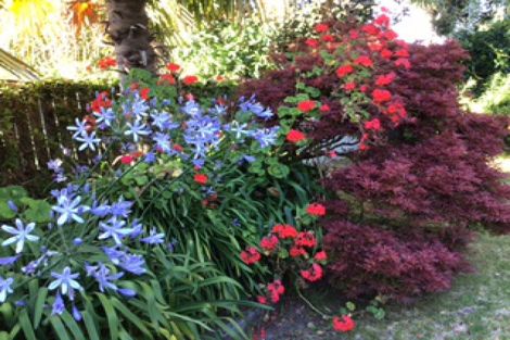 Photo of property in 63 Birch Street, Hilltop, Taupo, 3330