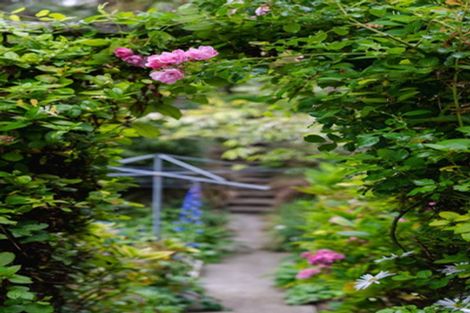 Photo of property in 61 Cannington Road, Maori Hill, Dunedin, 9010