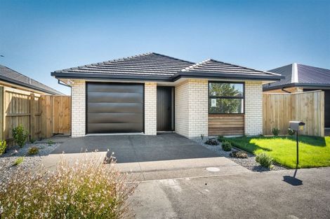 Photo of property in 24 Wigmore Crescent, Hahei, Whitianga, 3591