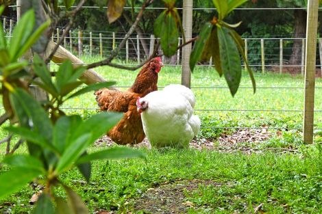 Photo of property in 1021 Whitemans Valley Road, Blue Mountains, Upper Hutt, 5371