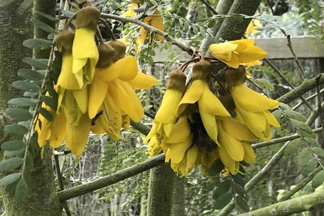 Photo of property in 255 Inglis Road, Okuku, Rangiora, 7473