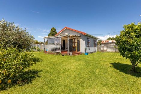 Photo of property in 36 Mouatt Street, Waitara, 4320