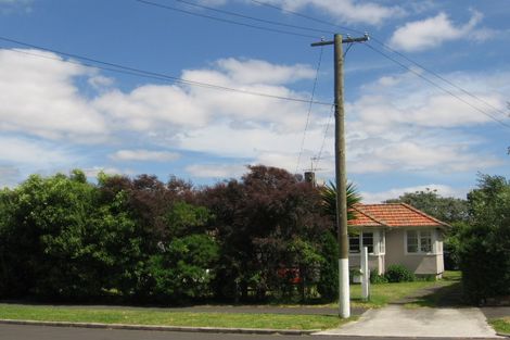 Photo of property in 49 Anderson Avenue, Point England, Auckland, 1072