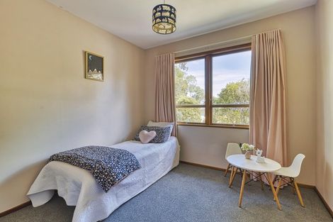 Photo of property in 21 Franklin Terrace, Havelock North, 4130