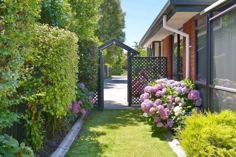 Photo of property in 111a Ashley Street, Rangiora, 7400