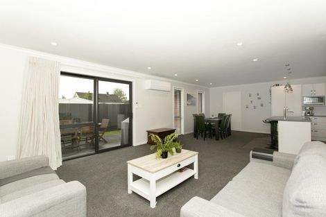 Photo of property in 55a Princes Street, Netherby, Ashburton, 7700