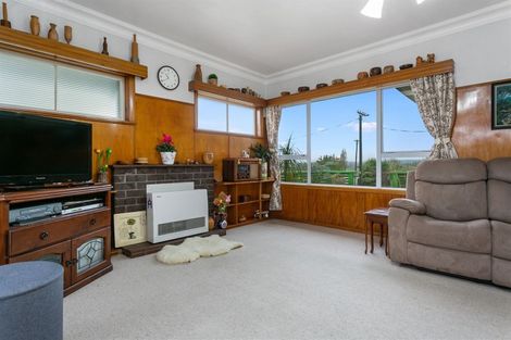 Photo of property in 52 Neal Street, Putaruru, 3411