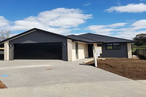 Photo of property in 38 Traverse Lane, Omokoroa, 3114