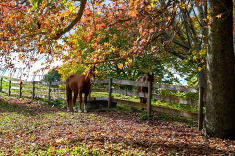 Photo of property in 114 Dods Road, Waikite Valley, Rotorua, 3077