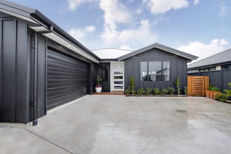 Photo of property in 60 Lochhead Street, Mahora, Hastings, 4120