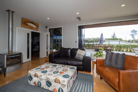 Photo of property in 55 Ludlow Drive, Huntingdon, Ashburton, 7774