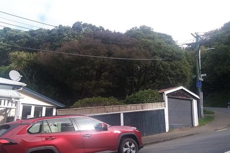 Photo of property in 41 Ohiro Road, Aro Valley, Wellington, 6021