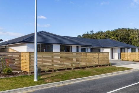 Photo of property in 9 Catherine Lane, Levin, 5510