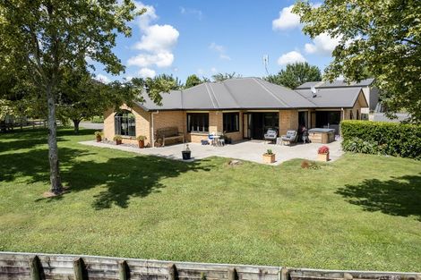 Photo of property in 371 Pukemoremore Road, Tauwhare, Cambridge, 3493