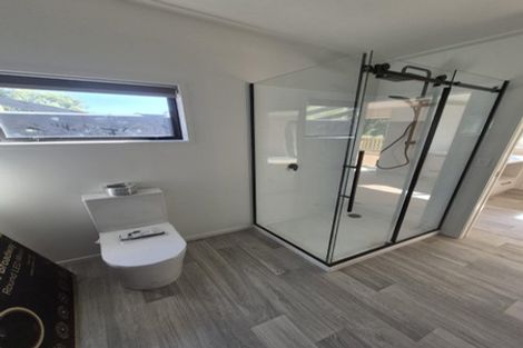 Photo of property in 173a Wily Road, Puni, Pukekohe, 2678