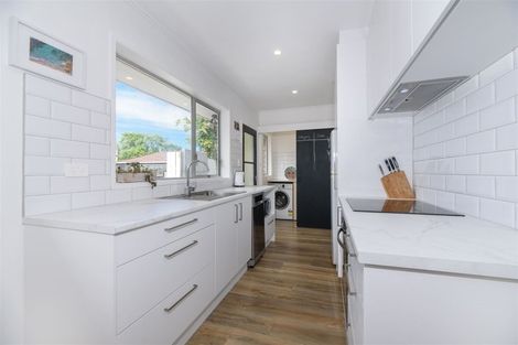 Photo of property in 1/38 Hillcrest Avenue, Hillcrest, Auckland, 0627