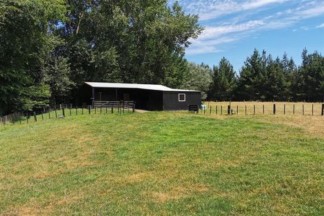 Photo of property in 319 Newell Road, Kinleith, Tokoroa, 3491