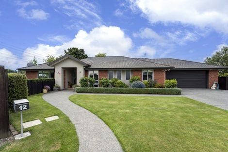 Photo of property in 12 Rubicon Place, Hei Hei, Christchurch, 8042