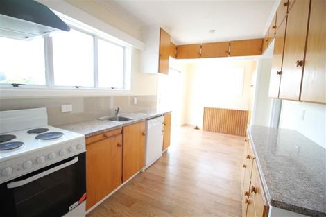 Photo of property in 53 Rogan Street, Mount Roskill, Auckland, 1041