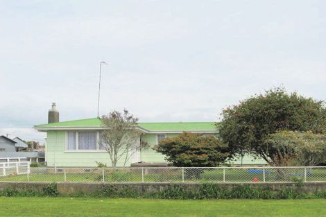 Photo of property in 17 Buchanan Street, Opotiki, 3122