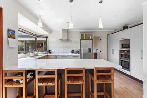 Photo of property in 13 Galway Place, Te Puke, 3119