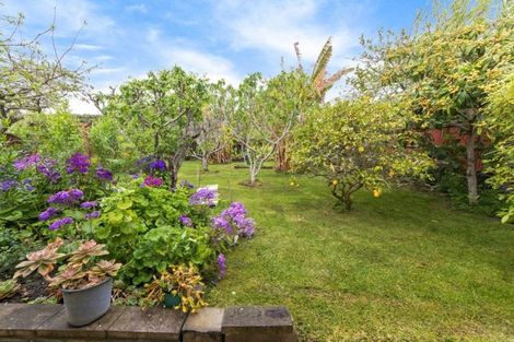 Photo of property in 113 Moore Street, Hillcrest, Auckland, 0627